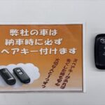 タント X スローパー