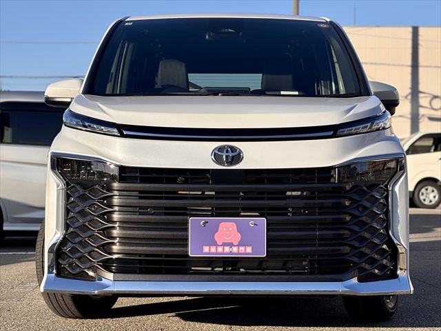 ヴォクシー S-G タイプ1 スロープ 車いす2名