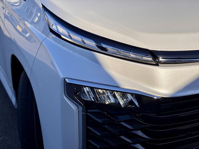 ヴォクシー S-G タイプ1 スロープ 車いす2名