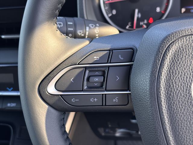 ヴォクシー S-G タイプ1 スロープ 車いす2名