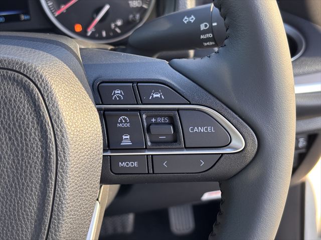 ヴォクシー S-G タイプ1 スロープ 車いす2名