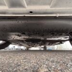 フリード＋ハイブリッド　ハイブリッドG